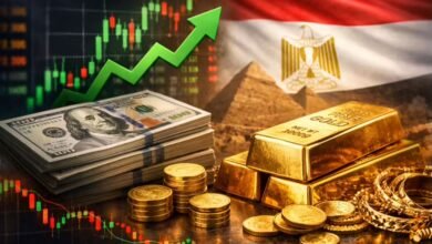 سعر الدولار اليوم في مصر وتأثيره على أسعار الذهب مع صورة سبائك ذهب ودولار وسهم صاعد