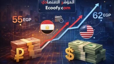 الدولار مقابل الجنيه المصري وتوقعات سعر الدولار في مصر