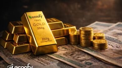 صناديق الذهب في مصر ونمو الاستثمار في الذهب بدون حيازة
